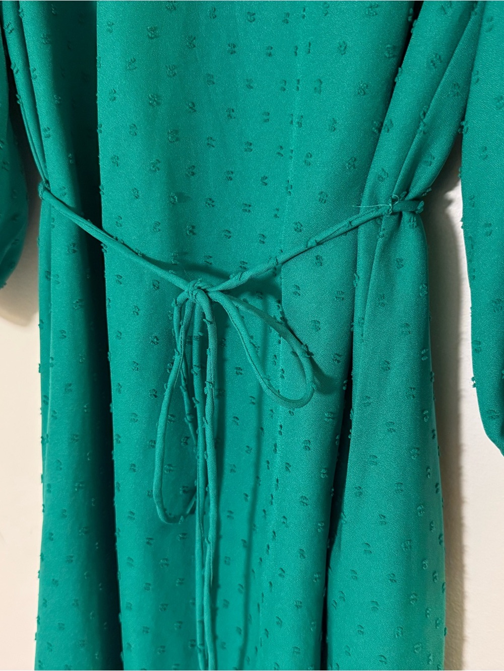 Ann Taylor Factory Teal Long-Sleeve Tie-Waist Midi Dress with Swiss Dots - Picture 5 of 7